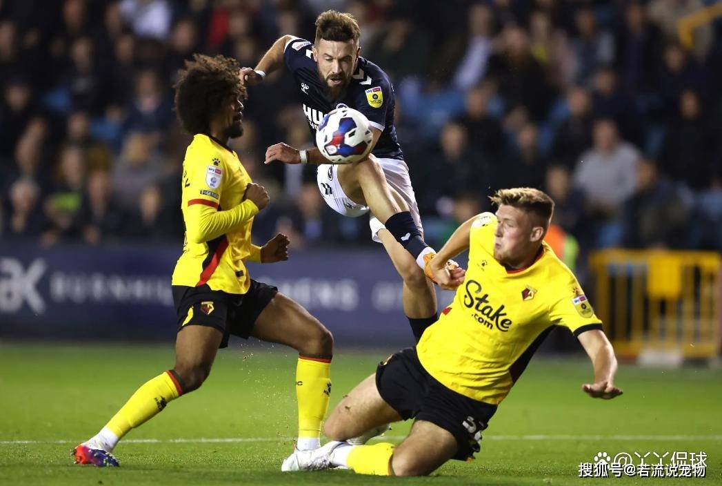 爱游戏官方登录入口-米尔沃尔主场获胜，保持主场优势的简单介绍