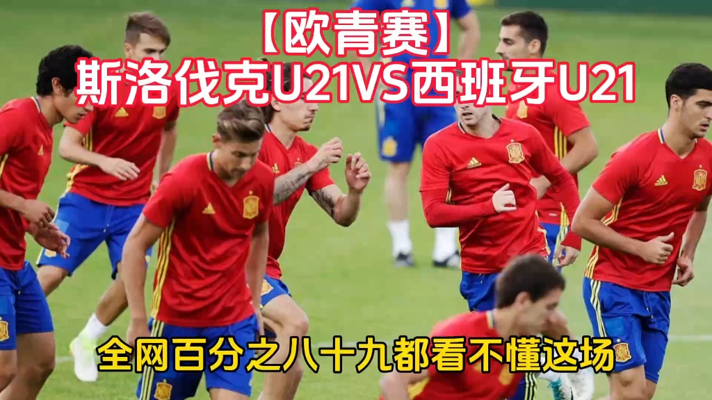 斯洛伐克队在欧国联比赛中遭遇艰难，无缘晋级四强的简单介绍