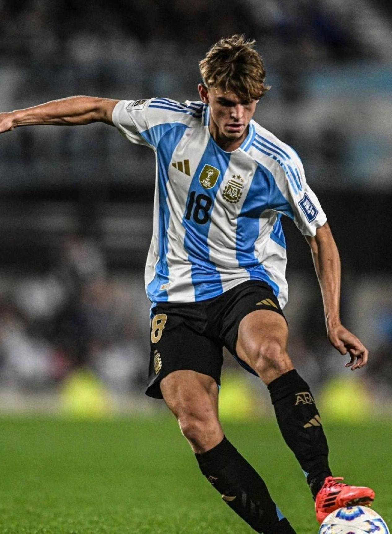 包含阿根廷球星在外国联赛打出精彩表现，喜获赞誉的词条